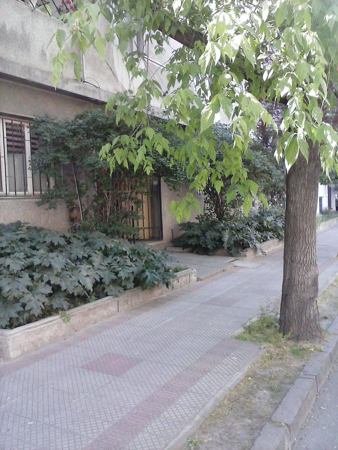 Marilu 'S Bed And Breakfast Hostel 산티아고 외부 사진